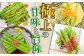 アスパラガス アスパラ 野菜 やさい 期間限定 食べ比べ