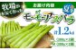 アスパラガス アスパラ 野菜 やさい 期間限定 食べ比べ