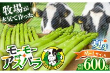 【期間限定】モーモーアスパラ夏芽 L・M 600g（6月中旬より順次発送） 食べやすい太さの2種セット 600g 日田市 / 有限会社本川牧場 [ARAI037]