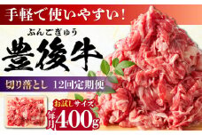 【全12回定期便】【お試しにピッタリ！】 おおいた豊後牛 牛肉 切り落とし 400g 日田市 / 株式会社MEAT PLUS 牛肉 おおいた豊後牛 おおいた 豊後牛 黒毛和牛 赤身 薄切り 切り落とし 和牛 [AREI040]