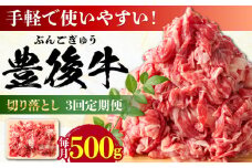 【全3回定期便】【使いやすい！】 おおいた豊後牛 牛肉 切り落とし 500g 日田市 / 株式会社MEAT PLUS 牛肉 おおいた豊後牛 おおいた 豊後牛 黒毛和牛 赤身 薄切り 切り落とし 和牛 [AREI041]