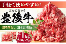 【全3回定期便】【期間限定】 小分けで便利！おおいた豊後牛 牛肉 切り落とし 1kg (500g×2)  日田市 / 株式会社MEAT PLUS 牛肉 おおいた豊後牛 おおいた 豊後牛 黒毛和牛 赤身 薄切り 切り落とし 和牛 [AREI044]