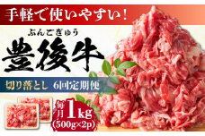 【全6回定期便】【期間限定】 小分けで便利！おおいた豊後牛 牛肉 切り落とし 1kg (500g×2)  日田市 / 株式会社MEAT PLUS 牛肉 おおいた豊後牛 おおいた 豊後牛 黒毛和牛 赤身 薄切り 切り落とし 和牛 [AREI045]