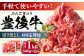 牛肉 おおいた豊後牛 おおいた 豊後牛 黒毛和牛 赤身 薄切り 切り落とし