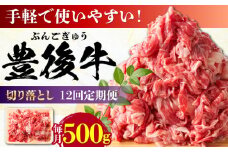 【全12回定期便】【使いやすい！】 おおいた豊後牛 牛肉 切り落とし 500g 日田市 / 株式会社MEAT PLUS 牛肉 おおいた豊後牛 おおいた 豊後牛 黒毛和牛 赤身 薄切り 切り落とし 和牛 [AREI043]
