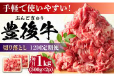 【全12回定期便】【期間限定】 小分けで便利！おおいた豊後牛 牛肉 切り落とし 1kg (500g×2)  日田市 / 株式会社MEAT PLUS 牛肉 おおいた豊後牛 おおいた 豊後牛 黒毛和牛 赤身 薄切り 切り落とし 和牛 [AREI046]