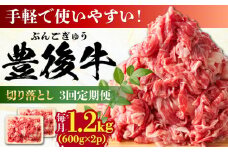 【全3回定期便】【大容量パック！】 おおいた豊後牛 牛肉 切り落とし 1.2kg (600g×2) 日田市 / 株式会社MEAT PLUS 牛肉 おおいた豊後牛 おおいた 豊後牛 黒毛和牛 赤身 薄切り 切り落とし 和牛 [AREI047]