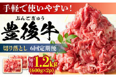 【全6回定期便】【大容量パック！】 おおいた豊後牛 牛肉 切り落とし 1.2kg (600g×2) 日田市 / 株式会社MEAT PLUS 牛肉 おおいた豊後牛 おおいた 豊後牛 黒毛和牛 赤身 薄切り 切り落とし 和牛 [AREI048]