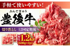 【全12回定期便】【大容量パック！】 おおいた豊後牛 牛肉 切り落とし 1.2kg (600g×2) 日田市 / 株式会社MEAT PLUS 牛肉 おおいた豊後牛 おおいた 豊後牛 黒毛和牛 赤身 薄切り 切り落とし 和牛 [AREI049]