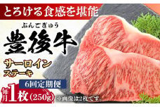 【全6回定期便】おおいた豊後牛 サーロインステーキ 250g (250g×1枚) 日田市 / 株式会社MEAT PLUS 牛肉 おおいた豊後牛 おおいた 豊後牛 黒毛和牛 サーロイン サーロインステーキ ステーキ 国産 和牛 [AREI054]