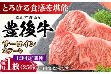 【全12回定期便】おおいた豊後牛 サーロインステーキ 250g (250g×1枚) 日田市 / 株式会社MEAT PLUS 牛肉 おおいた豊後牛 おおいた 豊後牛 黒毛和牛 サーロイン サーロインステーキ ステーキ 国産 和牛 [AREI055]