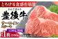 牛肉 おおいた豊後牛 おおいた 豊後牛 黒毛和牛 サーロイン サーロインステーキ ステーキ 国産