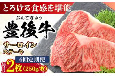 【全6回定期便】おおいた豊後牛 サーロインステーキ 500g (250g×2枚) 日田市 / 株式会社MEAT PLUS 牛肉 おおいた豊後牛 おおいた 豊後牛 黒毛和牛 サーロイン サーロインステーキ ステーキ 国産 和牛 [AREI057]