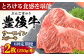 牛肉 おおいた豊後牛 おおいた 豊後牛 黒毛和牛 サーロイン サーロインステーキ ステーキ 国産