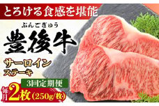 【全3回定期便】おおいた豊後牛 サーロインステーキ 500g (250g×2枚) 日田市 / 株式会社MEAT PLUS 牛肉 おおいた豊後牛 おおいた 豊後牛 黒毛和牛 サーロイン サーロインステーキ ステーキ 国産 和牛 [AREI056]