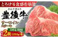 牛肉 おおいた豊後牛 おおいた 豊後牛 黒毛和牛 サーロイン サーロインステーキ ステーキ 国産