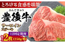 【全12回定期便】おおいた豊後牛 サーロインステーキ 500g (250g×2枚) 日田市 / 株式会社MEAT PLUS 牛肉 おおいた豊後牛 おおいた 豊後牛 黒毛和牛 サーロイン サーロインステーキ ステーキ 国産 和牛 [AREI058]