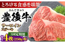 【全3回定期便】おおいた豊後牛 サーロインステーキ 1kg (250g×4枚) 日田市 / 株式会社MEAT PLUS 牛肉 おおいた豊後牛 おおいた 豊後牛 黒毛和牛 サーロイン サーロインステーキ ステーキ 国産 和牛 [AREI059]