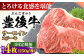牛肉 おおいた豊後牛 おおいた 豊後牛 黒毛和牛 サーロイン サーロインステーキ ステーキ 国産
