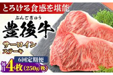 【全6回定期便】おおいた豊後牛 サーロインステーキ 1kg (250g×4枚) 日田市 / 株式会社MEAT PLUS 牛肉 おおいた豊後牛 おおいた 豊後牛 黒毛和牛 サーロイン サーロインステーキ ステーキ 国産 和牛 [AREI060]