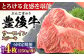 牛肉 おおいた豊後牛 おおいた 豊後牛 黒毛和牛 サーロイン サーロインステーキ ステーキ 国産