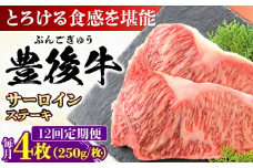 【全12回定期便】おおいた豊後牛 サーロインステーキ 1kg (250g×4枚) 日田市 / 株式会社MEAT PLUS 牛肉 おおいた豊後牛 おおいた 豊後牛 黒毛和牛 サーロイン サーロインステーキ ステーキ 国産 和牛 [AREI061]