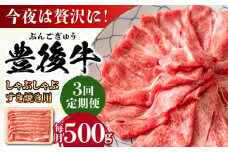 【全3回定期便】おおいた豊後牛 しゃぶしゃぶすき焼き用（肩ロース・肩バラ・モモ）500g 日田市 / 株式会社MEAT PLUS 牛肉 おおいた豊後牛 おおいた 豊後牛 黒毛和牛 スライス しゃぶしゃぶすき焼き しゃぶしゃぶ すき焼き 和牛 [AREI065]