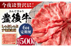 【全6回定期便】おおいた豊後牛 しゃぶしゃぶすき焼き用（肩ロース・肩バラ・モモ）500g 日田市 / 株式会社MEAT PLUS 牛肉 おおいた豊後牛 おおいた 豊後牛 黒毛和牛 スライス しゃぶしゃぶすき焼き しゃぶしゃぶ すき焼き 和牛 [AREI066]