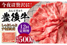 【全12回定期便】おおいた豊後牛 しゃぶしゃぶすき焼き用（肩ロース・肩バラ・モモ）500g 日田市 / 株式会社MEAT PLUS 牛肉 おおいた豊後牛 おおいた 豊後牛 黒毛和牛 スライス しゃぶしゃぶすき焼き しゃぶしゃぶ すき焼き 和牛 [AREI067]