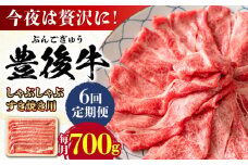 【全6回定期便】おおいた豊後牛 しゃぶしゃぶすき焼き用（肩ロース・肩バラ・モモ）700g 日田市 / 株式会社MEAT PLUS 牛肉 おおいた豊後牛 おおいた 豊後牛 黒毛和牛 スライス しゃぶしゃぶすき焼き しゃぶしゃぶ すき焼き 和牛 [AREI069]