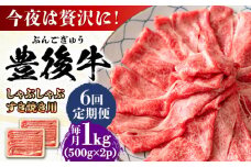 【全6回定期便】おおいた豊後牛 しゃぶしゃぶすき焼き用（肩ロース・肩バラ・モモ）1kg(500g×2) 日田市 / 株式会社MEAT PLUS 牛肉 おおいた豊後牛 おおいた 豊後牛 黒毛和牛 スライス しゃぶしゃぶすき焼き しゃぶしゃぶ すき焼き 和牛 [AREI075]