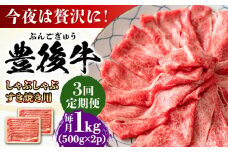 【全3回定期便】おおいた豊後牛 しゃぶしゃぶすき焼き用（肩ロース・肩バラ・モモ）1kg(500g×2) 日田市 / 株式会社MEAT PLUS 牛肉 おおいた豊後牛 おおいた 豊後牛 黒毛和牛 スライス しゃぶしゃぶすき焼き しゃぶしゃぶ すき焼き 和牛 [AREI074]