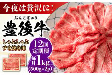 【全12回定期便】おおいた豊後牛 しゃぶしゃぶすき焼き用（肩ロース・肩バラ・モモ）1kg(500g×2) 日田市 / 株式会社MEAT PLUS 牛肉 おおいた豊後牛 おおいた 豊後牛 黒毛和牛 スライス しゃぶしゃぶすき焼き しゃぶしゃぶ すき焼き 和牛 [AREI076]