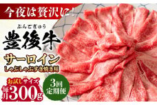【全3回定期便】【厳選部位】おおいた豊後牛 サーロイン しゃぶしゃぶすき焼き用 300g 日田市 / 株式会社MEAT PLUS おおいた豊後牛 おおいた 豊後牛 黒毛和牛 スライス しゃぶしゃぶすき焼き しゃぶしゃぶ すき焼き 小分け サーロイン和牛 [AREI080]