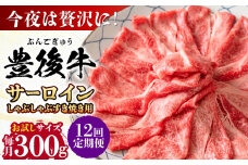 【全12回定期便】【厳選部位】おおいた豊後牛 サーロイン しゃぶしゃぶすき焼き用 300g 日田市 / 株式会社MEAT PLUS おおいた豊後牛 おおいた 豊後牛 黒毛和牛 スライス しゃぶしゃぶすき焼き しゃぶしゃぶ すき焼き 小分け サーロイン 和牛 [AREI082]