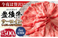 【全6回定期便】【厳選部位】おおいた豊後牛 サーロイン しゃぶしゃぶすき焼き用 500g 日田市 / 株式会社MEAT PLUS おおいた豊後牛 おおいた 豊後牛 黒毛和牛 スライス しゃぶしゃぶすき焼き しゃぶしゃぶ すき焼き 小分け サーロイン 和牛 [AREI084]