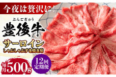 【全12回定期便】【厳選部位】おおいた豊後牛 サーロイン しゃぶしゃぶすき焼き用 500g 日田市 / 株式会社MEAT PLUS おおいた豊後牛 おおいた 豊後牛 黒毛和牛 スライス しゃぶしゃぶすき焼き しゃぶしゃぶ すき焼き 小分け サーロイン 和牛 [AREI085]