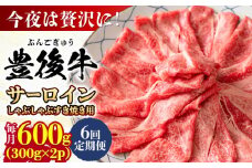 【全6回定期便】【厳選部位】おおいた豊後牛 サーロイン しゃぶしゃぶすき焼き用 600g(300g×2P) 日田市 / 株式会社MEAT PLUS おおいた豊後牛 おおいた 豊後牛 黒毛和牛 スライス しゃぶしゃぶすき焼き しゃぶしゃぶ すき焼き 小分け サーロイン 和牛 [AREI087]