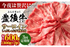 【全3回定期便】【厳選部位】おおいた豊後牛 サーロイン しゃぶしゃぶすき焼き用 600g(300g×2P) 日田市 / 株式会社MEAT PLUS おおいた豊後牛 おおいた 豊後牛 黒毛和牛 スライス しゃぶしゃぶすき焼き しゃぶしゃぶ すき焼き 小分け サーロイン 和牛 [AREI086]