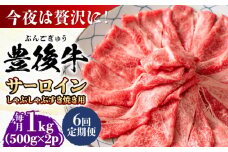 【全6回定期便】【厳選部位】おおいた豊後牛 サーロイン しゃぶしゃぶすき焼き用 1kg (500g×2P)日田市 / 株式会社MEAT PLUS おおいた豊後牛 おおいた 豊後牛 黒毛和牛 スライス しゃぶしゃぶすき焼き しゃぶしゃぶ すき焼き 小分け サーロイン 和牛 [AREI090]
