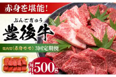 【全3回定期便】おおいた豊後牛 赤身モモ 焼肉用 500g 日田市 / 株式会社MEAT PLUS 牛肉 おおいた豊後牛 おおいた 豊後牛 黒毛和牛 国産 赤身 モモ もも 焼肉 焼肉用 和牛 [AREI092]