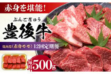 【全12回定期便】おおいた豊後牛 赤身モモ 焼肉用 500g 日田市 / 株式会社MEAT PLUS 牛肉 おおいた豊後牛 おおいた 豊後牛 黒毛和牛 国産 赤身 モモ もも 焼肉 焼肉用 和牛 [AREI094]