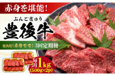 【全3回定期便】おおいた豊後牛 赤身モモ 焼肉用 1kg(500g×2P) 日田市 / 株式会社MEAT PLUS 牛肉 おおいた豊後牛 おおいた 豊後牛 黒毛和牛 国産 赤身 モモ もも 焼肉 焼肉用 和牛 [AREI095]