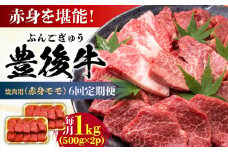 【全6回定期便】おおいた豊後牛 赤身モモ 焼肉用 1kg(500g×2P) 日田市 / 株式会社MEAT PLUS 牛肉 おおいた豊後牛 おおいた 豊後牛 黒毛和牛 国産 赤身 モモ もも 焼肉 焼肉用 和牛 [AREI096]