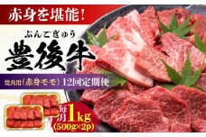 【全12回定期便】おおいた豊後牛 赤身モモ 焼肉用 1kg(500g×2P) 日田市 / 株式会社MEAT PLUS 牛肉 おおいた豊後牛 おおいた 豊後牛 黒毛和牛 国産 赤身 モモ もも 焼肉 焼肉用 和牛 [AREI097]