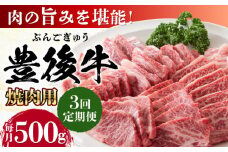 【全3回定期便】おおいた豊後牛 焼肉用 500g 日田市 / 株式会社MEAT PLUS 牛肉 おおいた豊後牛 おおいた 豊後牛 黒毛和牛 国産  焼肉 焼肉用 [AREI098]