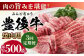 牛肉 おおいた豊後牛 おおいた 豊後牛 黒毛和牛 国産  焼肉 焼肉用