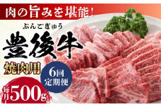 【全6回定期便】おおいた豊後牛 焼肉用 500g 日田市 / 株式会社MEAT PLUS 牛肉 おおいた豊後牛 おおいた 豊後牛 黒毛和牛 国産  焼肉 焼肉用 [AREI099]