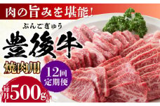 【全12回定期便】おおいた豊後牛 焼肉用 500g 日田市 / 株式会社MEAT PLUS 牛肉 おおいた豊後牛 おおいた 豊後牛 黒毛和牛 国産  焼肉 焼肉用 [AREI100]