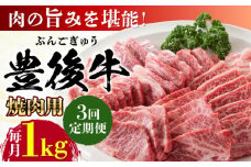 【全3回定期便】おおいた豊後牛 焼肉用 1kg(500g×2P) 日田市 / 株式会社MEAT PLUS 牛肉 おおいた豊後牛 おおいた 豊後牛 黒毛和牛 国産  焼肉 焼肉用 [AREI101]